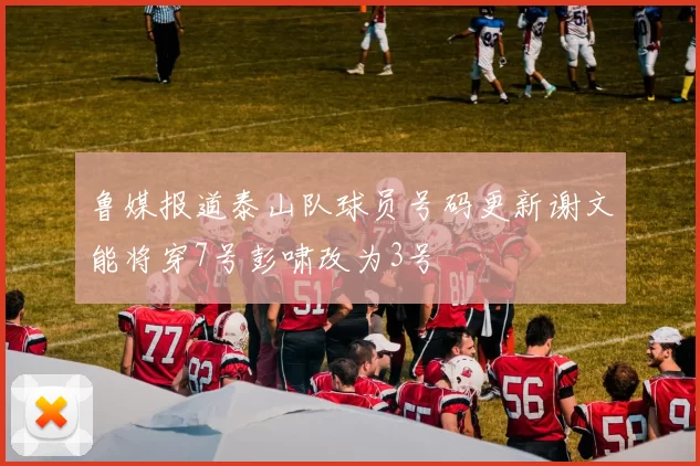 鲁媒报道泰山队球员号码更新谢文能将穿7号彭啸改为3号